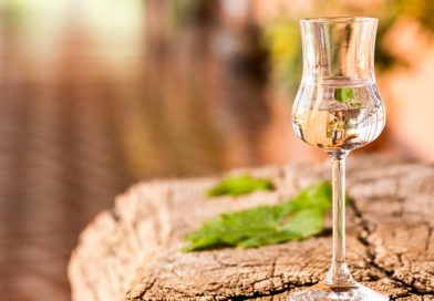 El panorama del Pisco peruano El panorama del Pisco peruano