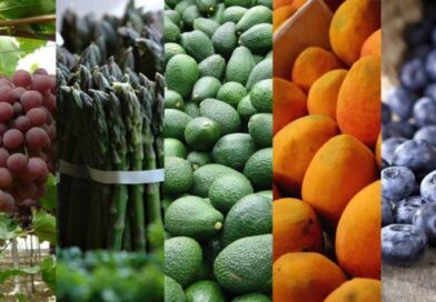 Agroexportaciones del Perú, agosto 2020 Agroexportaciones del Perú, agosto 2020