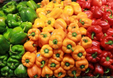 Panorama del Mercado Internacional y Nacional de Capsicum
