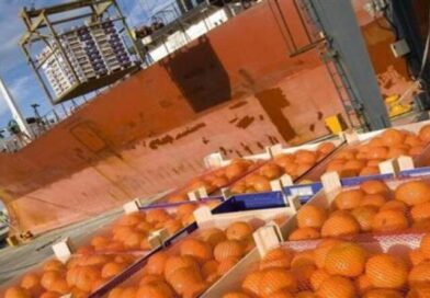 Reporte de Oportunidades no aprovechadas Mayo 2024 – Mandarinas frescas a Italia Reporte de Oportunidades no aprovechadas Mayo 2024 – Mandarinas frescas a Italia