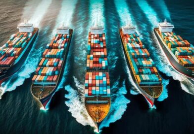 Reporte de Importaciones Noviembre 2024