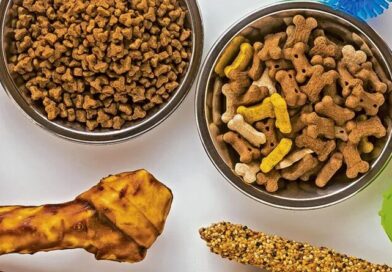 Reporte de Tendencias Octubre 2024: Alimento para mascotas Reporte de Tendencias Octubre 2024: Alimento para mascotas